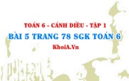 Bài 5 trang 78 SGK Toán 6 tập 1 Cánh Diều